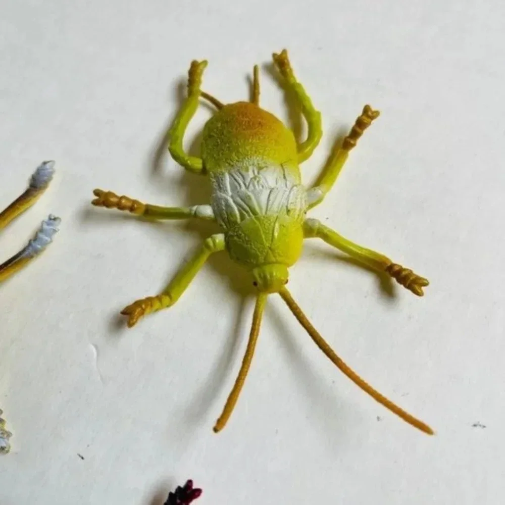 Insects Bugs Animal Figure Red Lady Bug Spider Grasshopper 2 Inch 6 Pieces